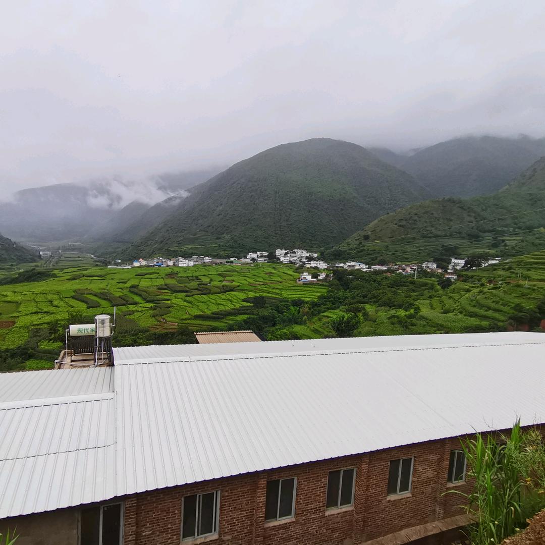 康郎利民种猪培育基地
