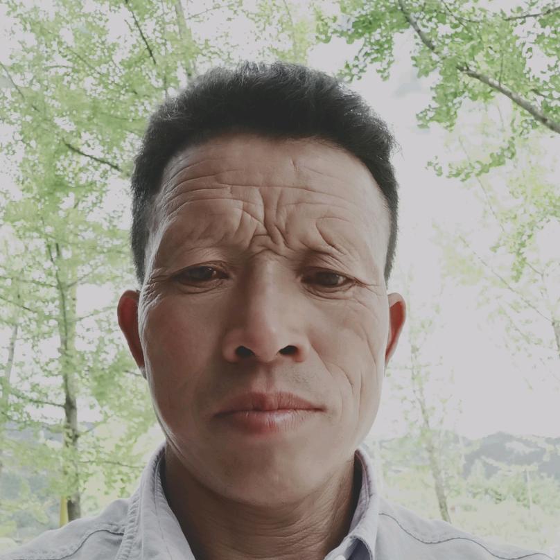 罗元丁