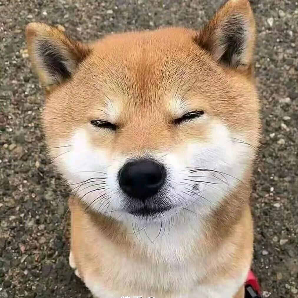 有点离谱啊