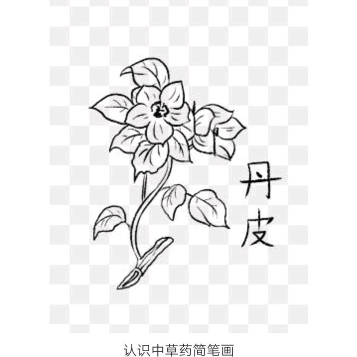 快乐肥宅