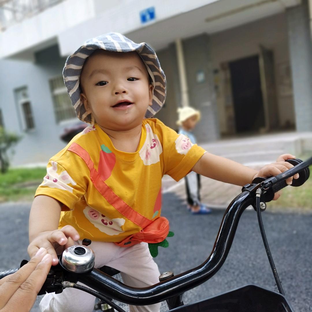 南岛的塘主头像