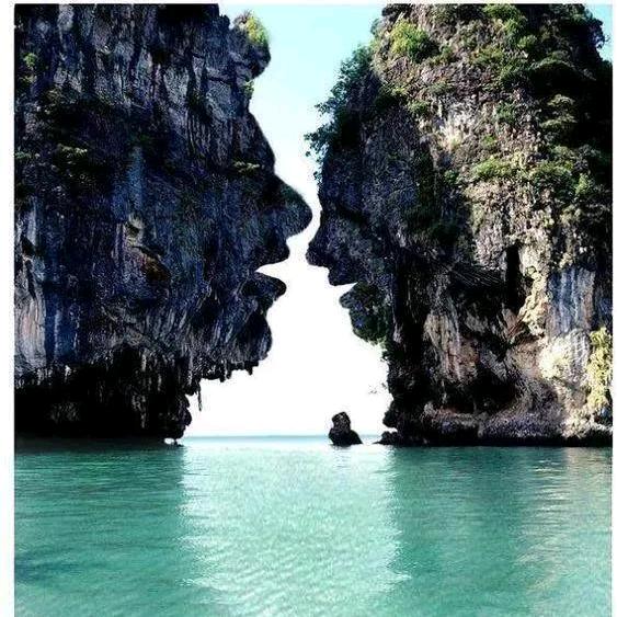 何氏一家亲《HGY》