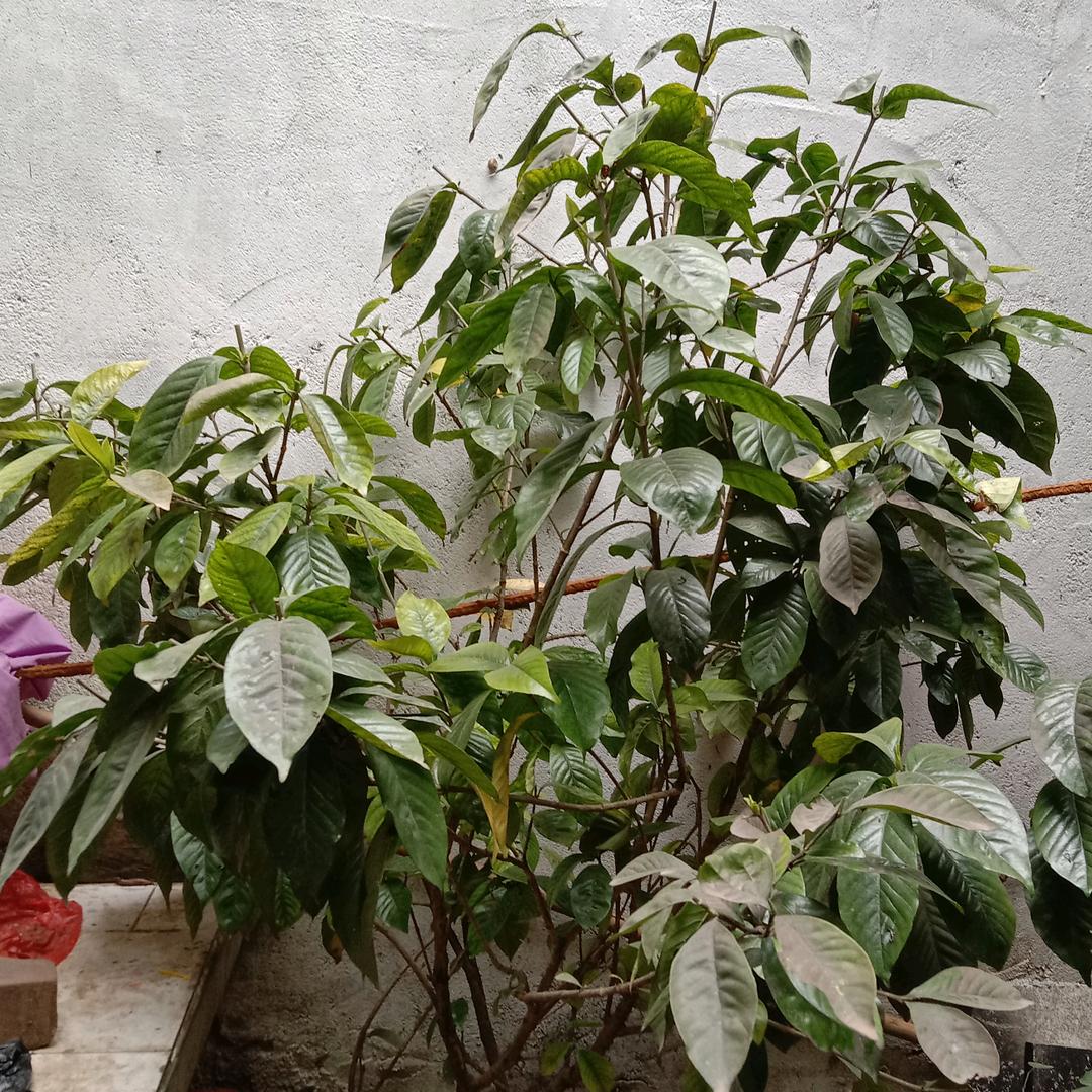 小