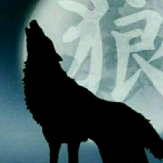 孤独的狼🐺