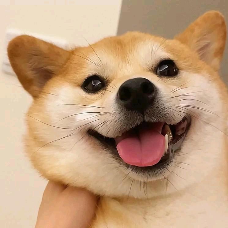 和平精英小夜y@抖音