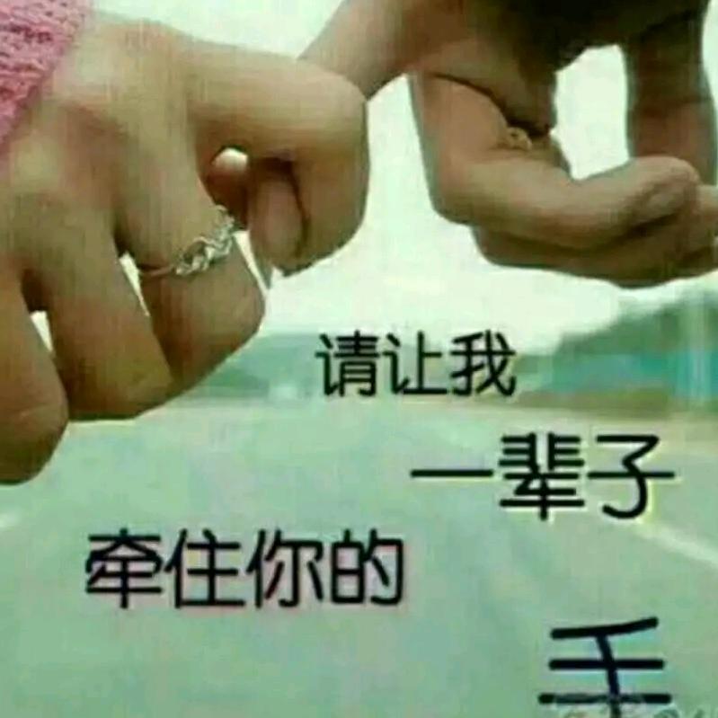 志