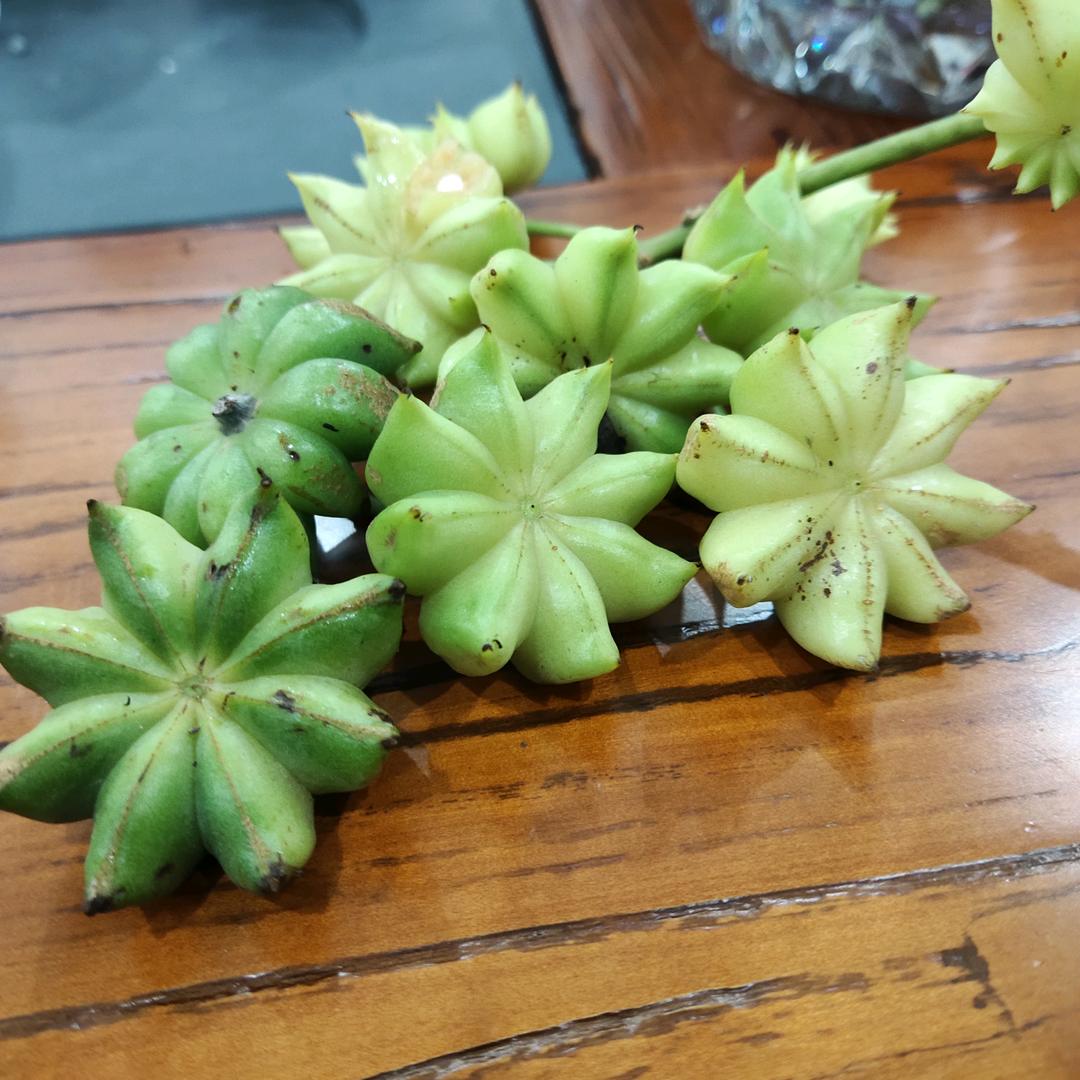 深桂农业