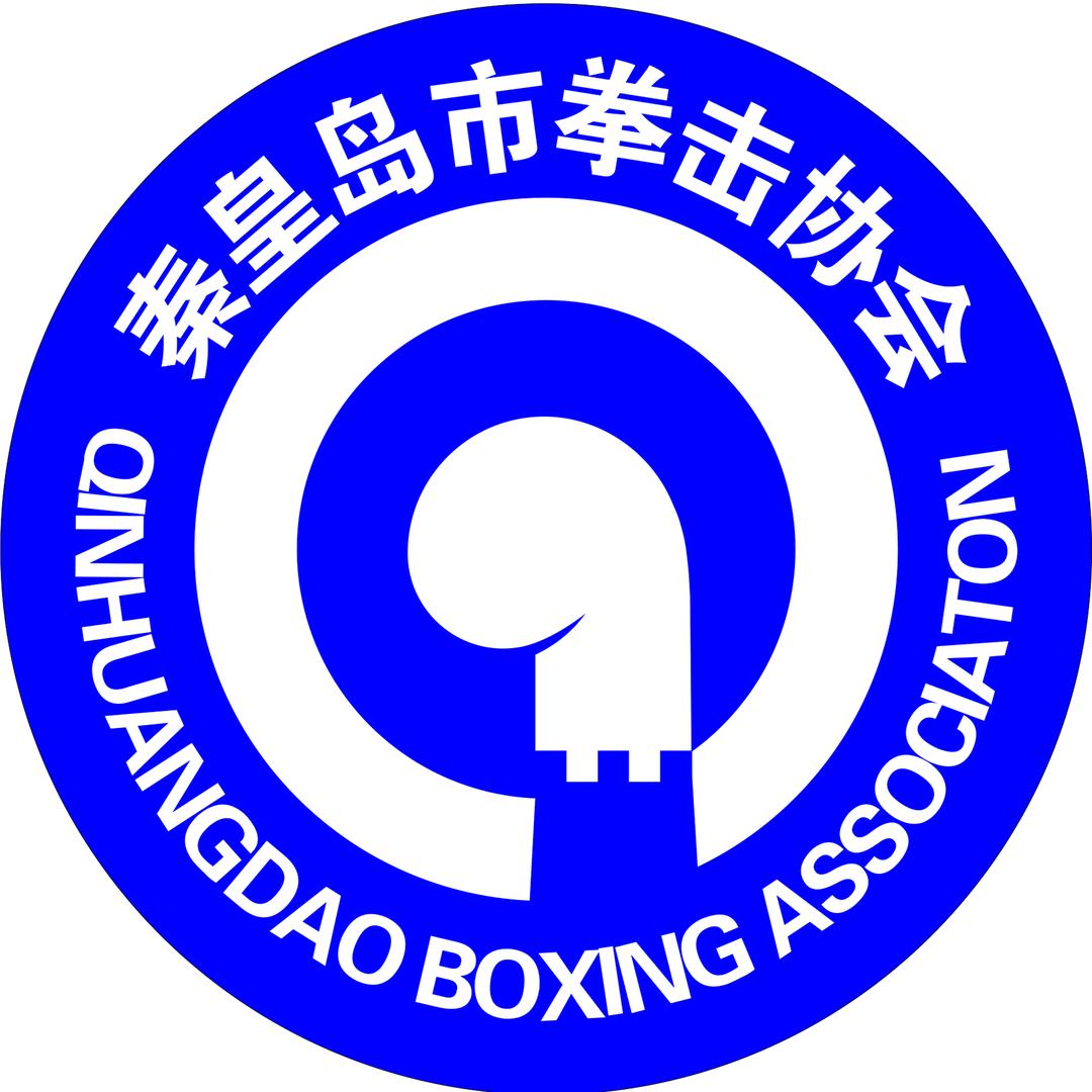 秦皇岛市拳击🥊