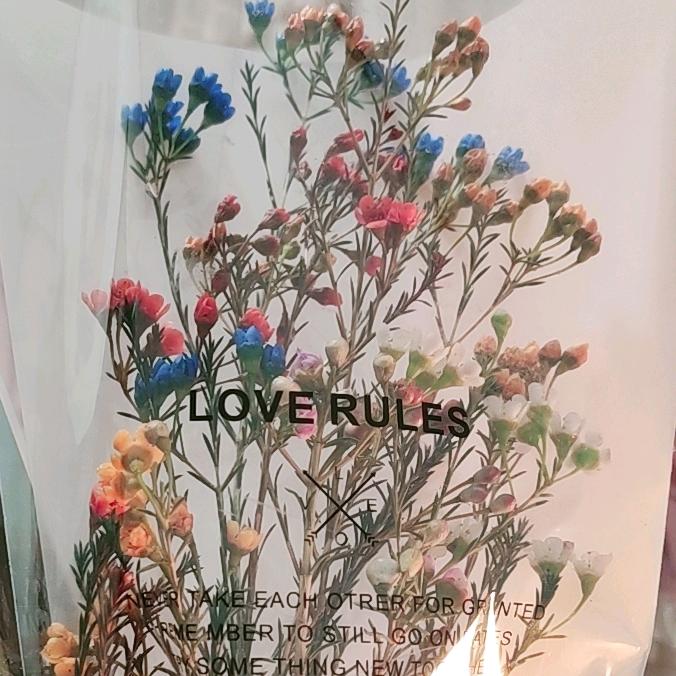 一花🌻一世界🍀