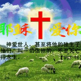 浙江温州唐保亮