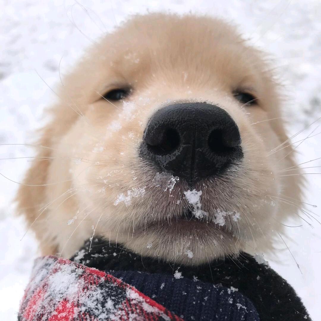 允许
