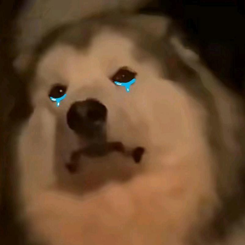 啊艳_