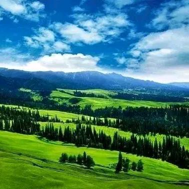 一粒流淌红尘的尘埃