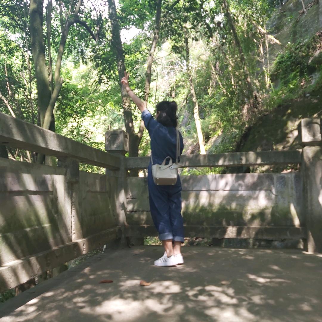 杨木易
