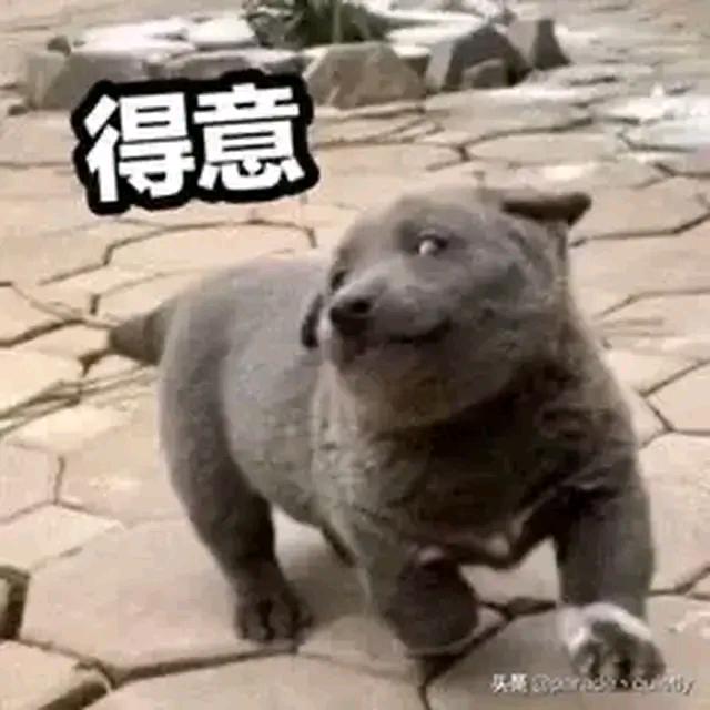 艾w兔