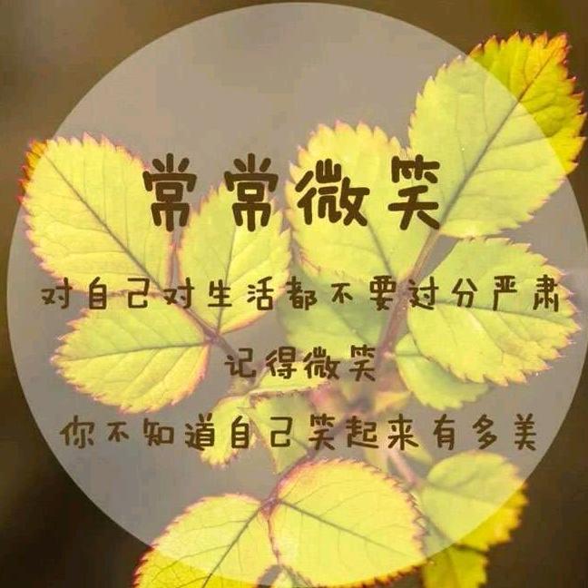 悦莱越好