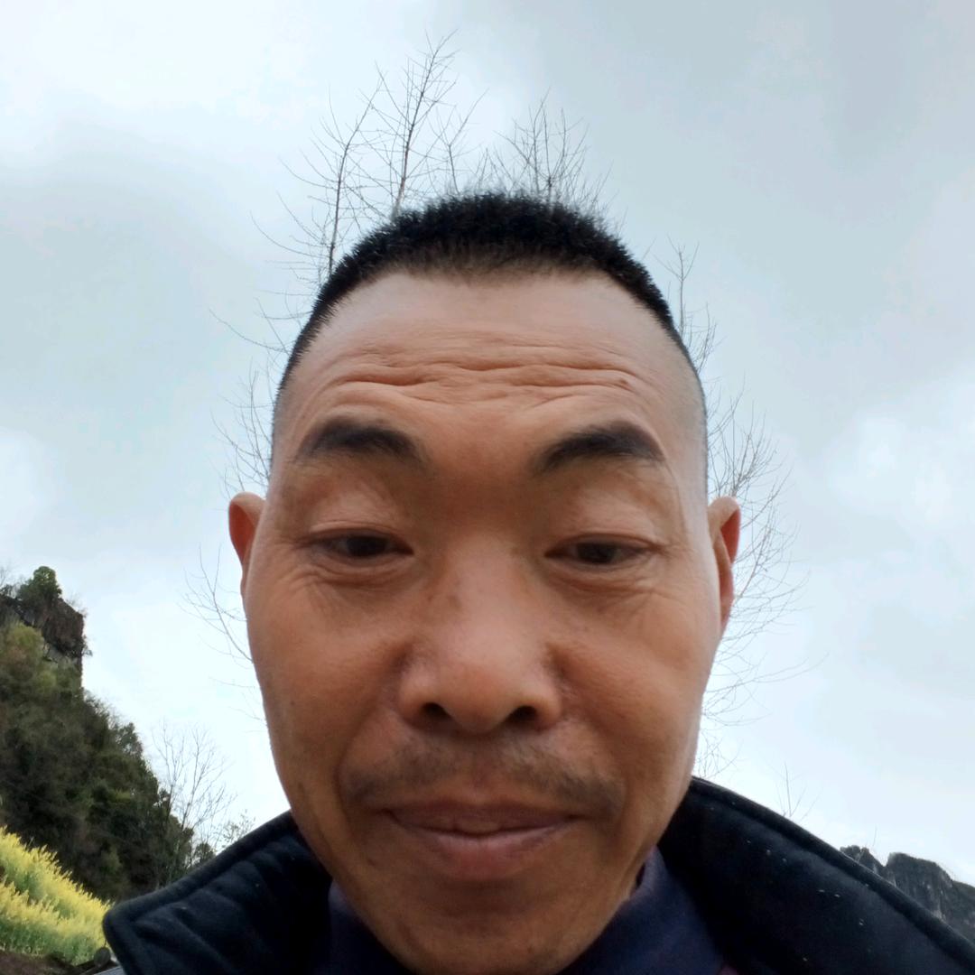 李易静