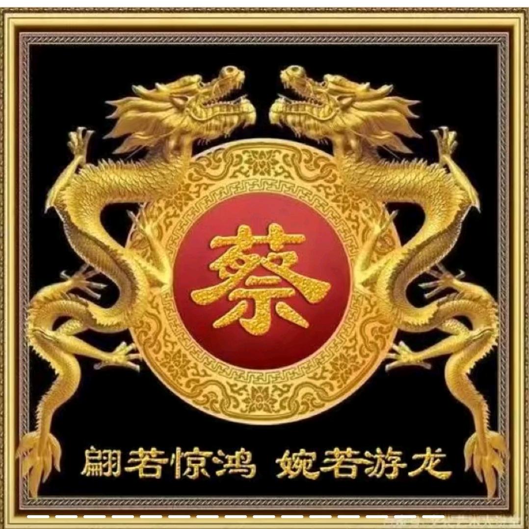 小蔡一颗