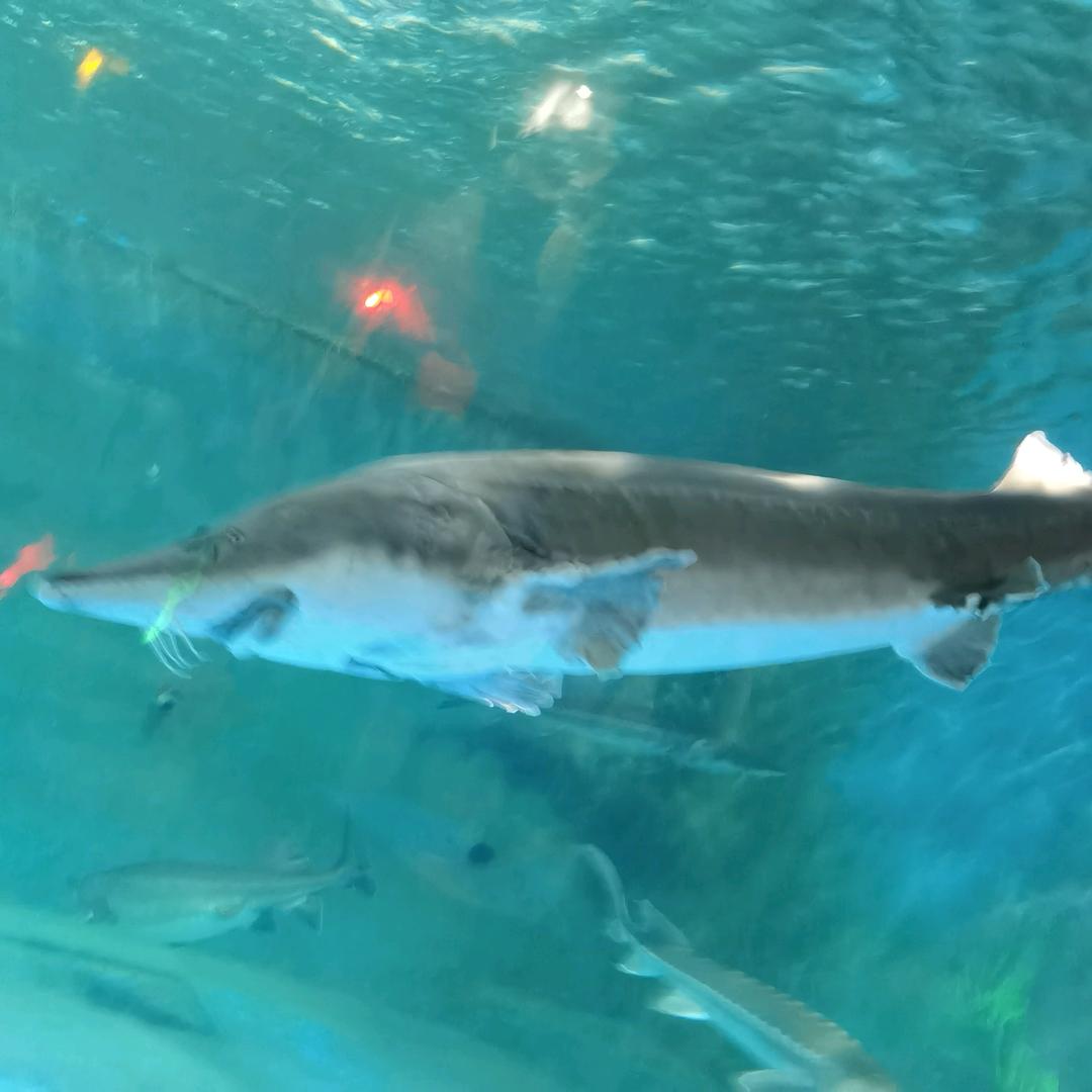 好好学习天天向上