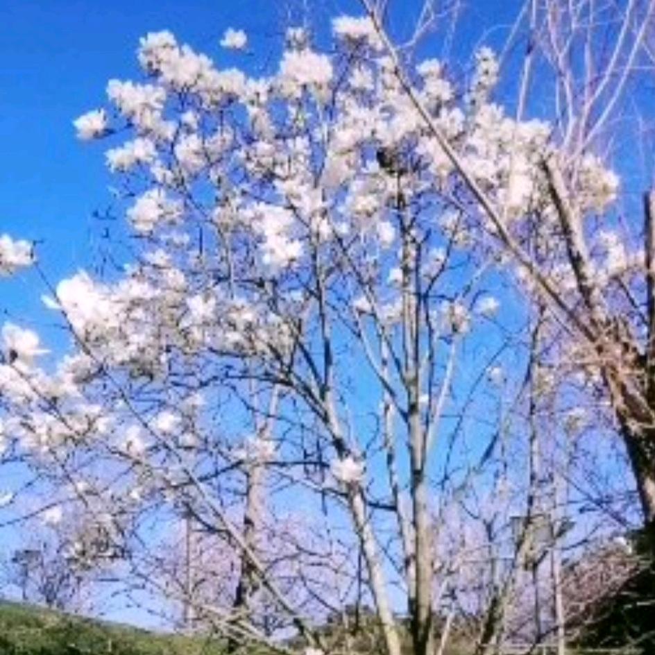 星空物语，