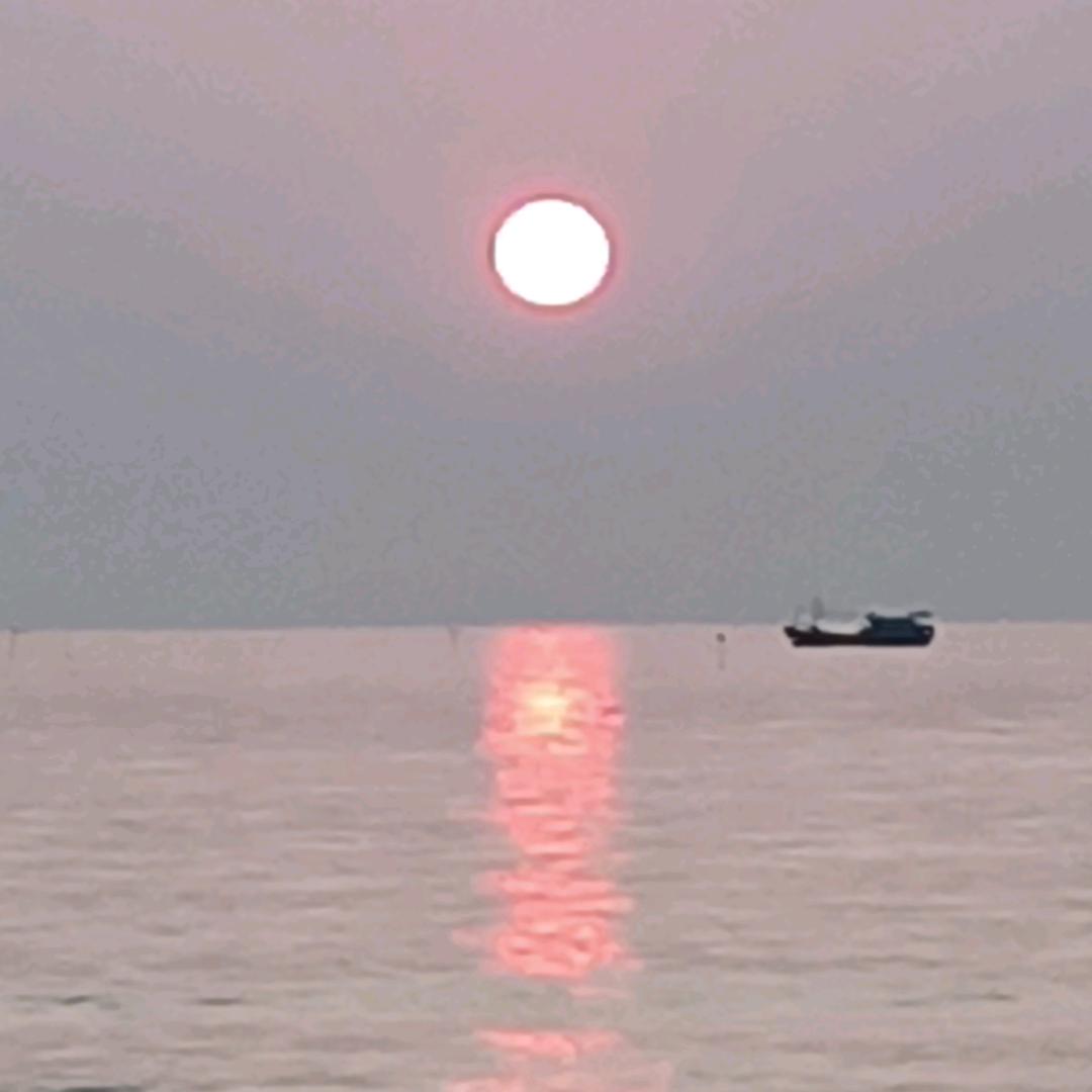 伍金亮