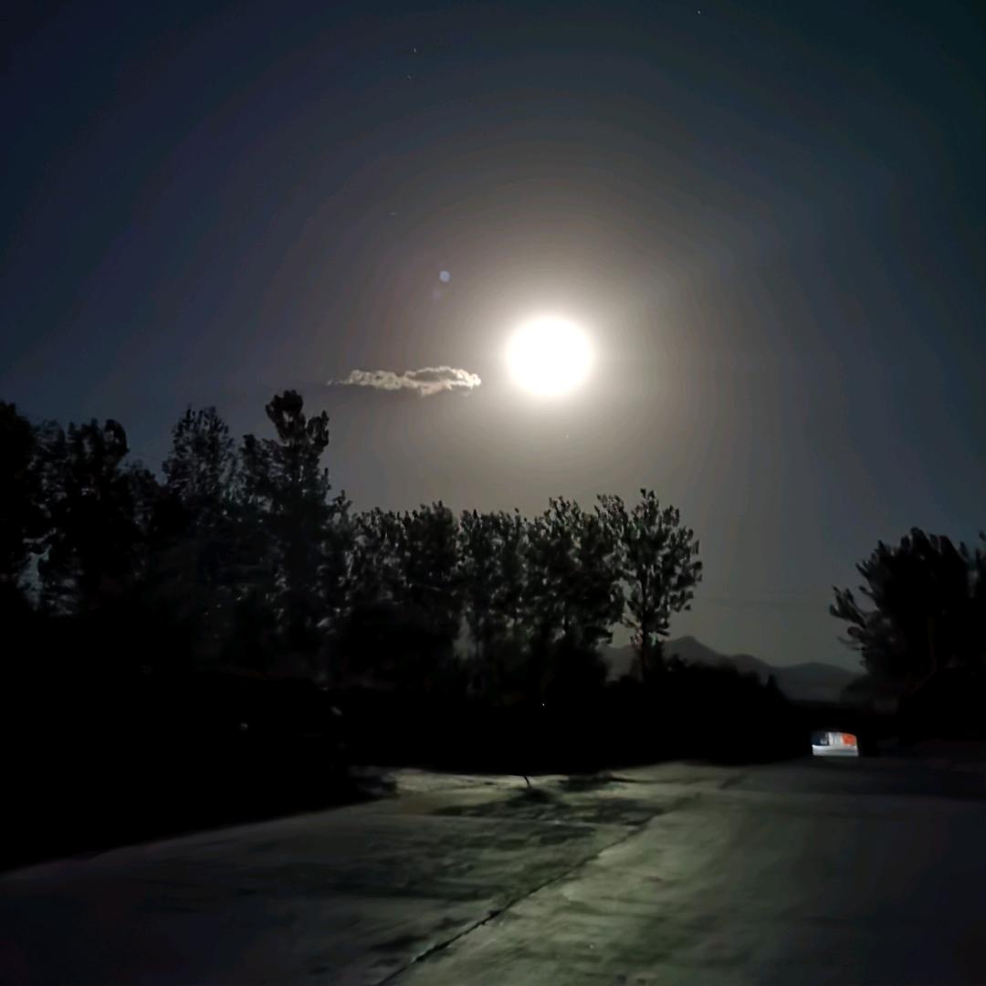 山西无人机飞防小王