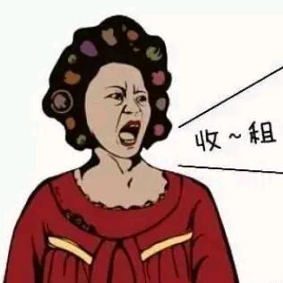 惠州市惠阳区新圩视界眼镜店