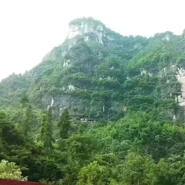 苦命人