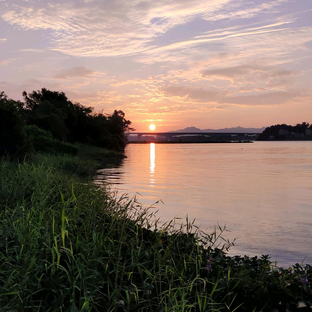 (豫)阿明在越南