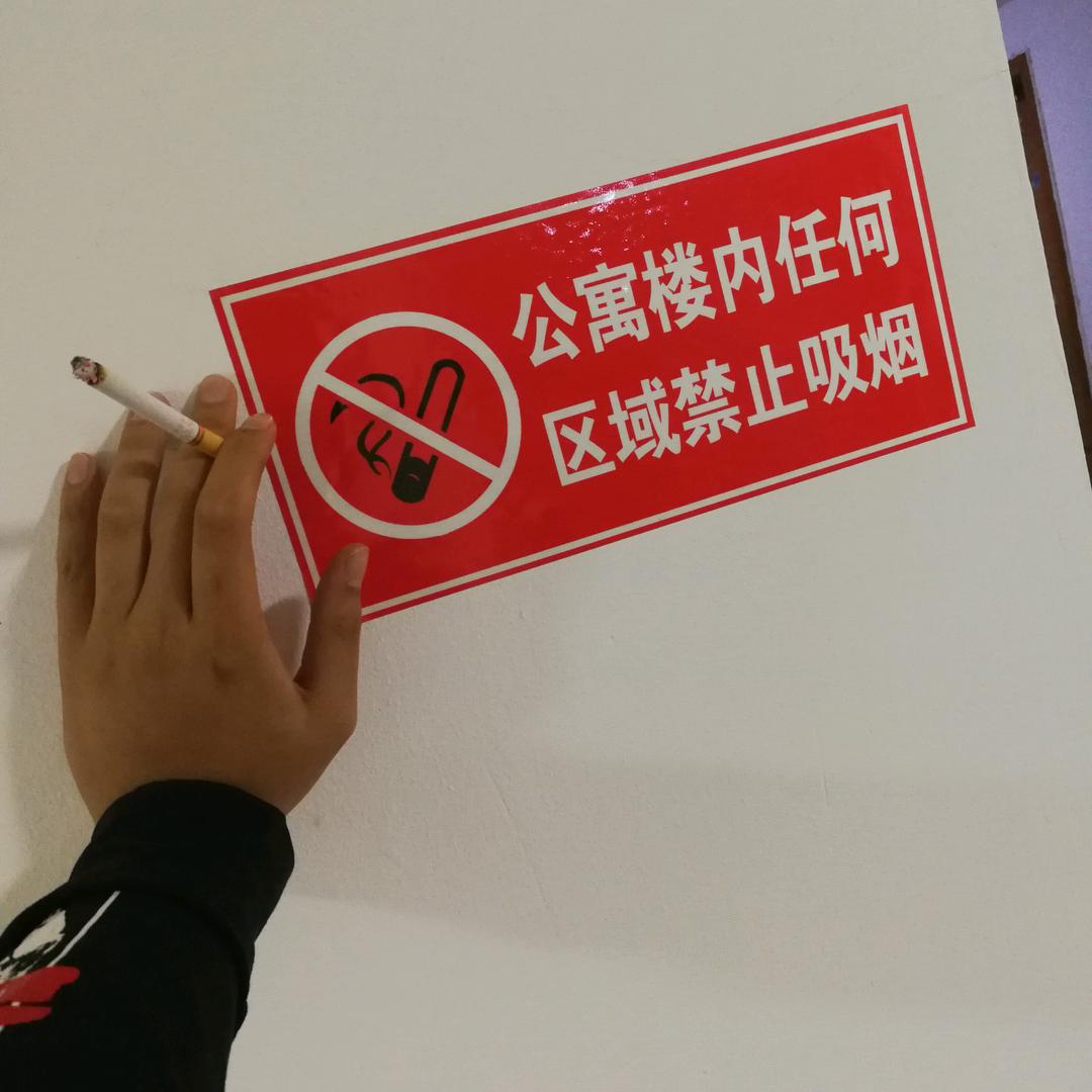 阿冬今天吃什么