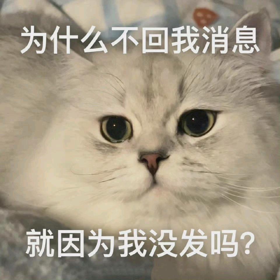 阿巴阿巴阿巴