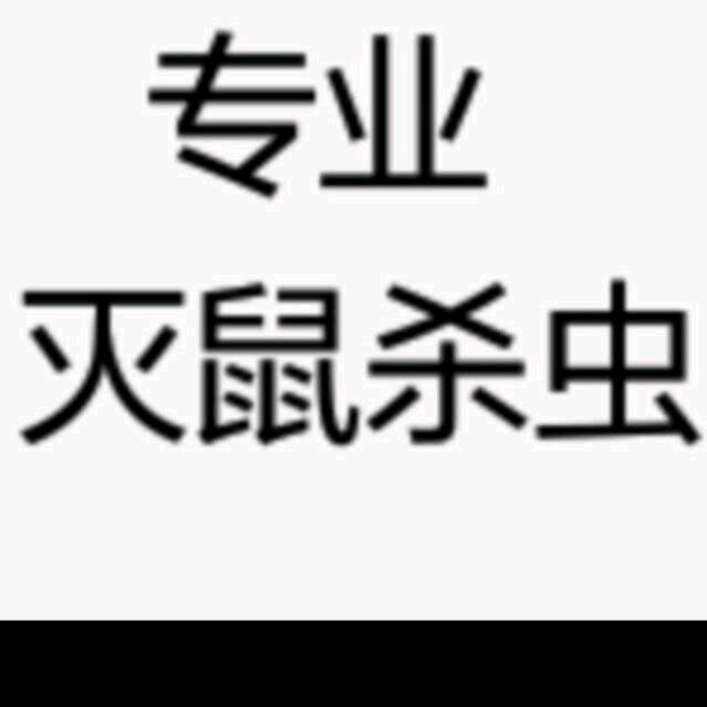 啄木鸟灭鼠，家政清洗