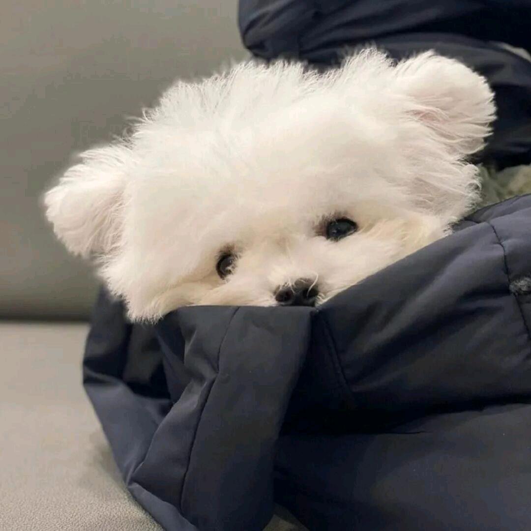 小王睡不醒