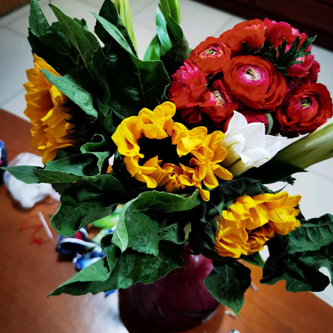 ᭄高枕🕊꯭᭄꯭ꦿ无忧ོꦿ࿐