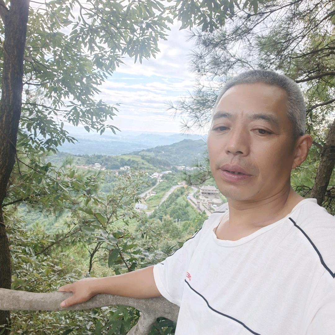 糊涂，难得糊涂，，何