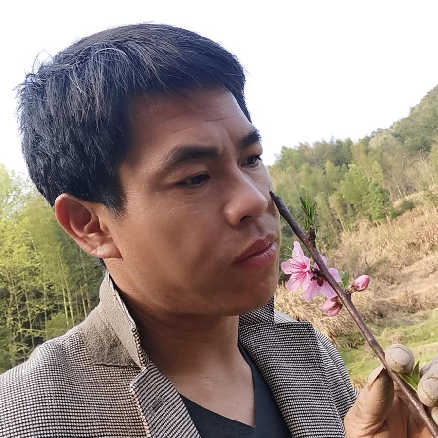 汤少