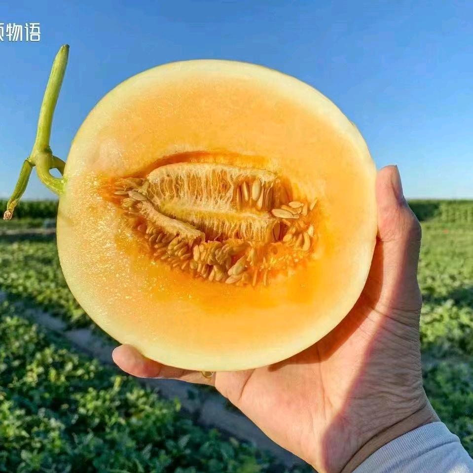 风生水起