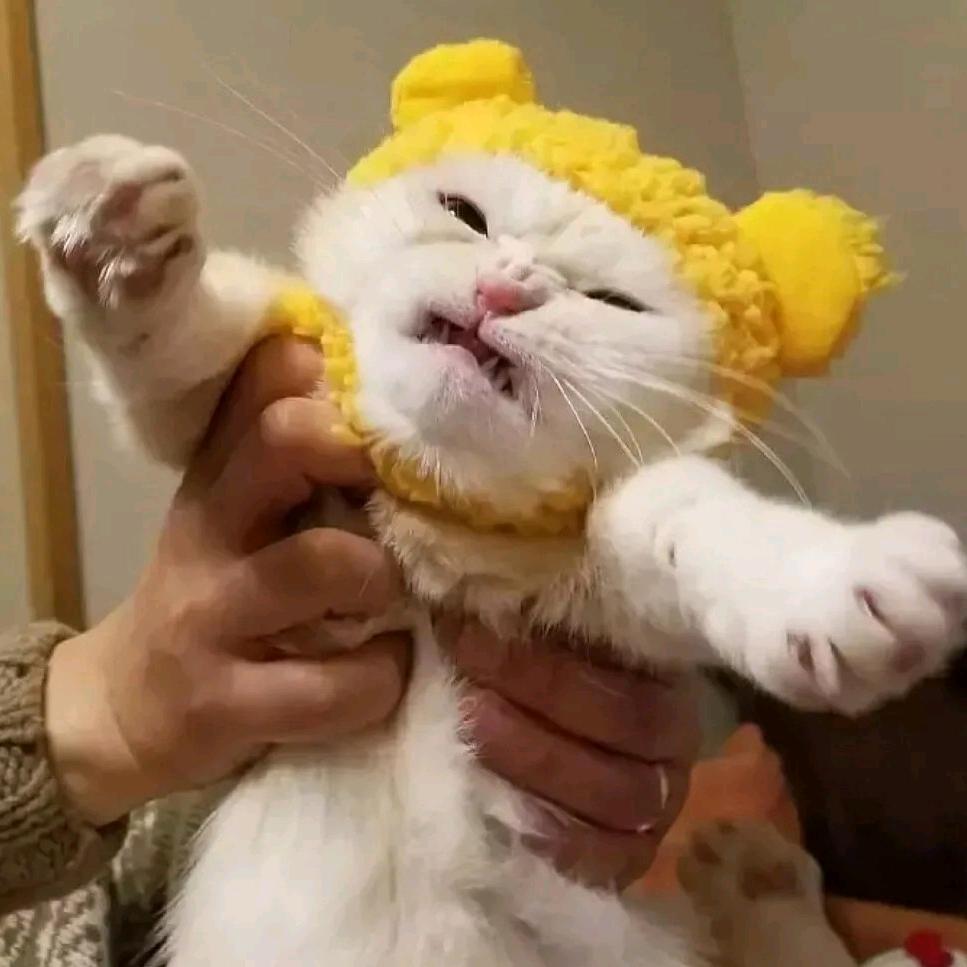 做一只tiger