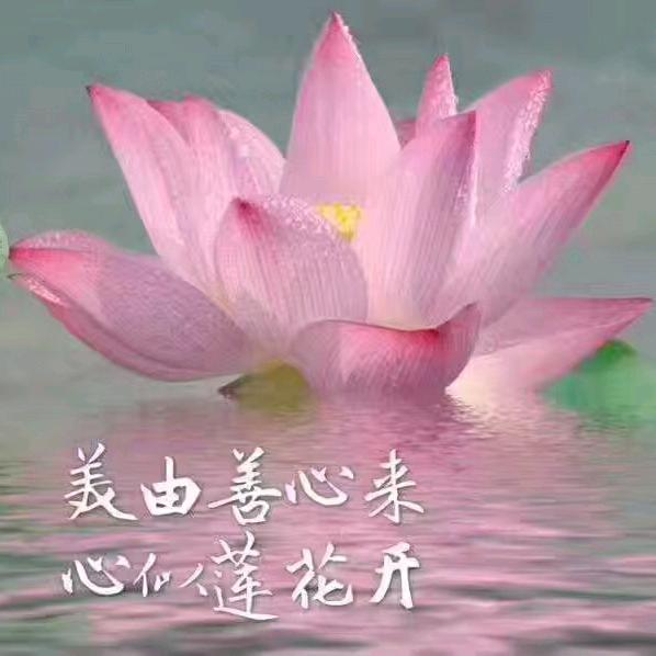 真爱一生  爱的恩赐