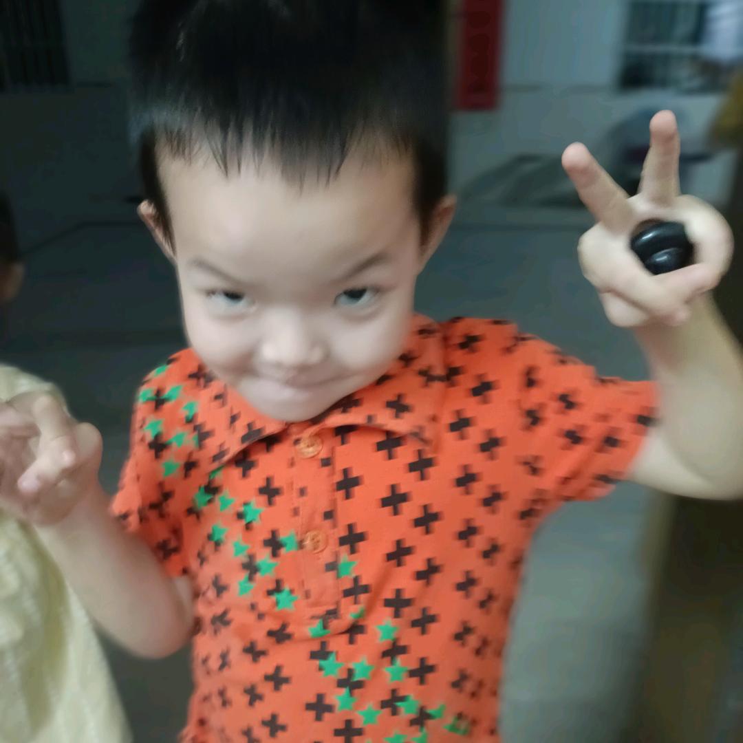 小雷高栏车货运