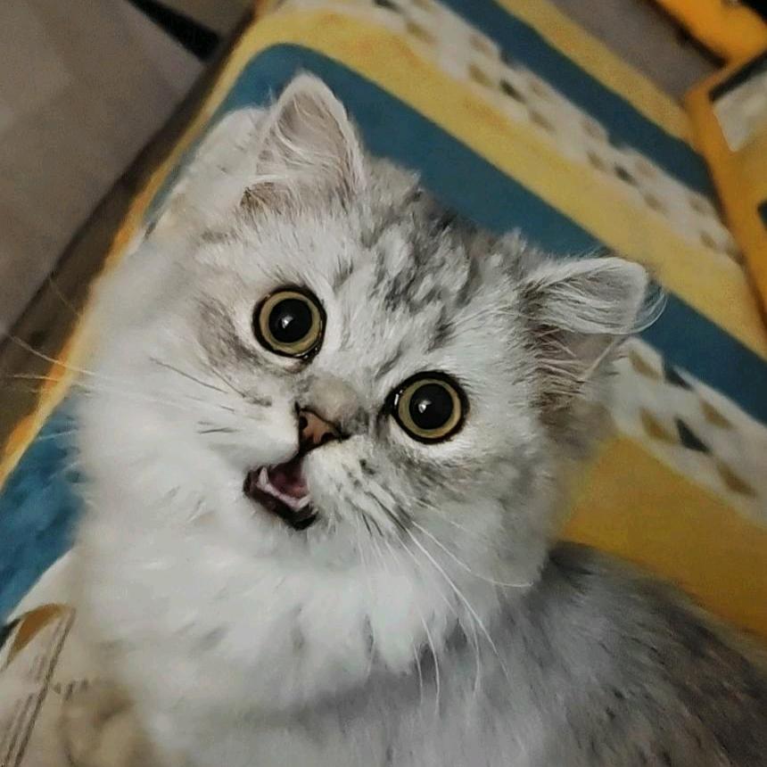 葫芦头炖葫芦汤