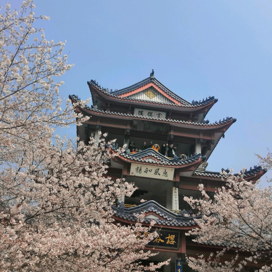 吧叽