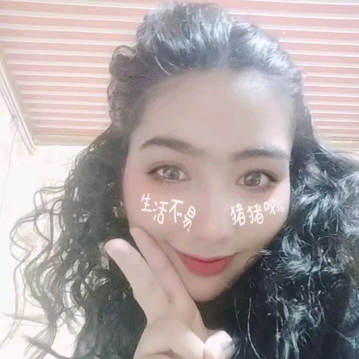 真心真义