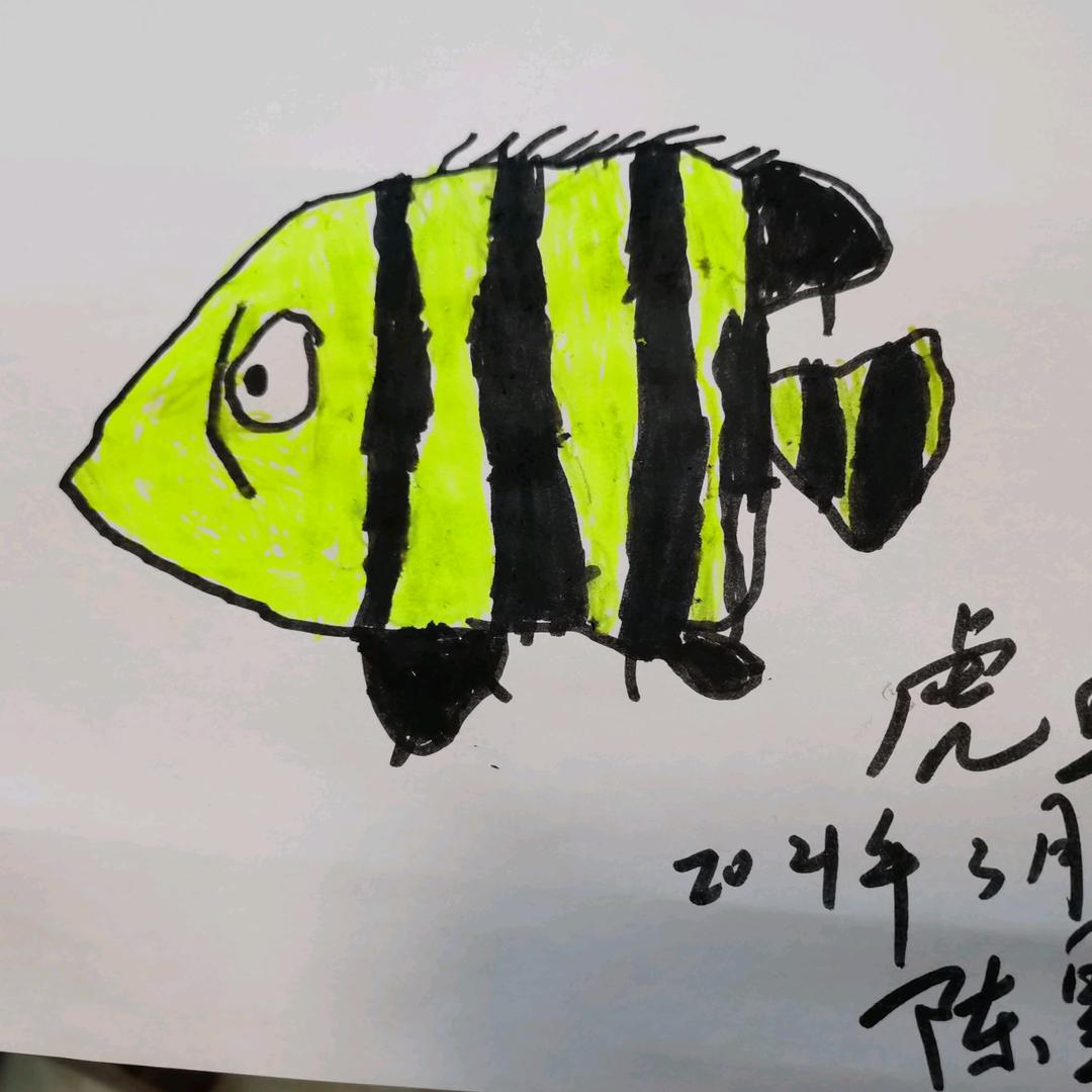 我心里一直有个梦