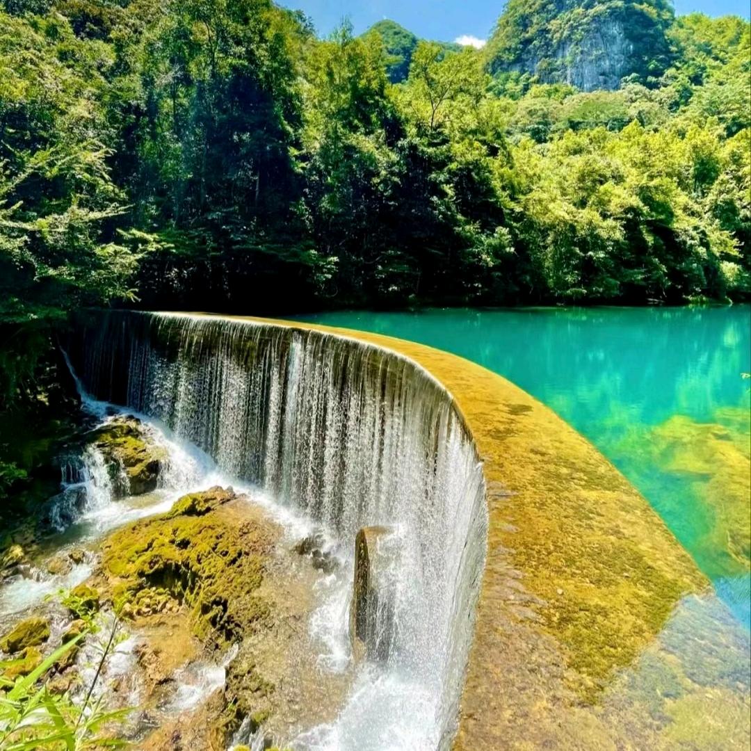 荧火虫《🐟》🔥