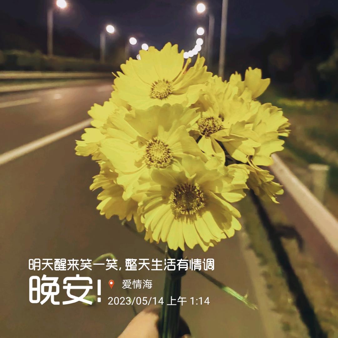 安逸o>_<o
