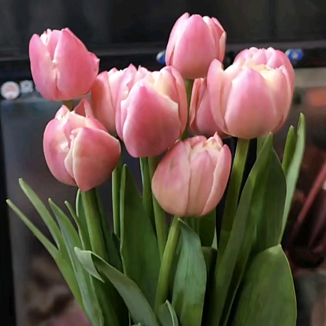 来宾市兴宾区艺馨花坊花店