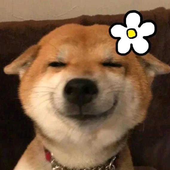 可可可可可乐！