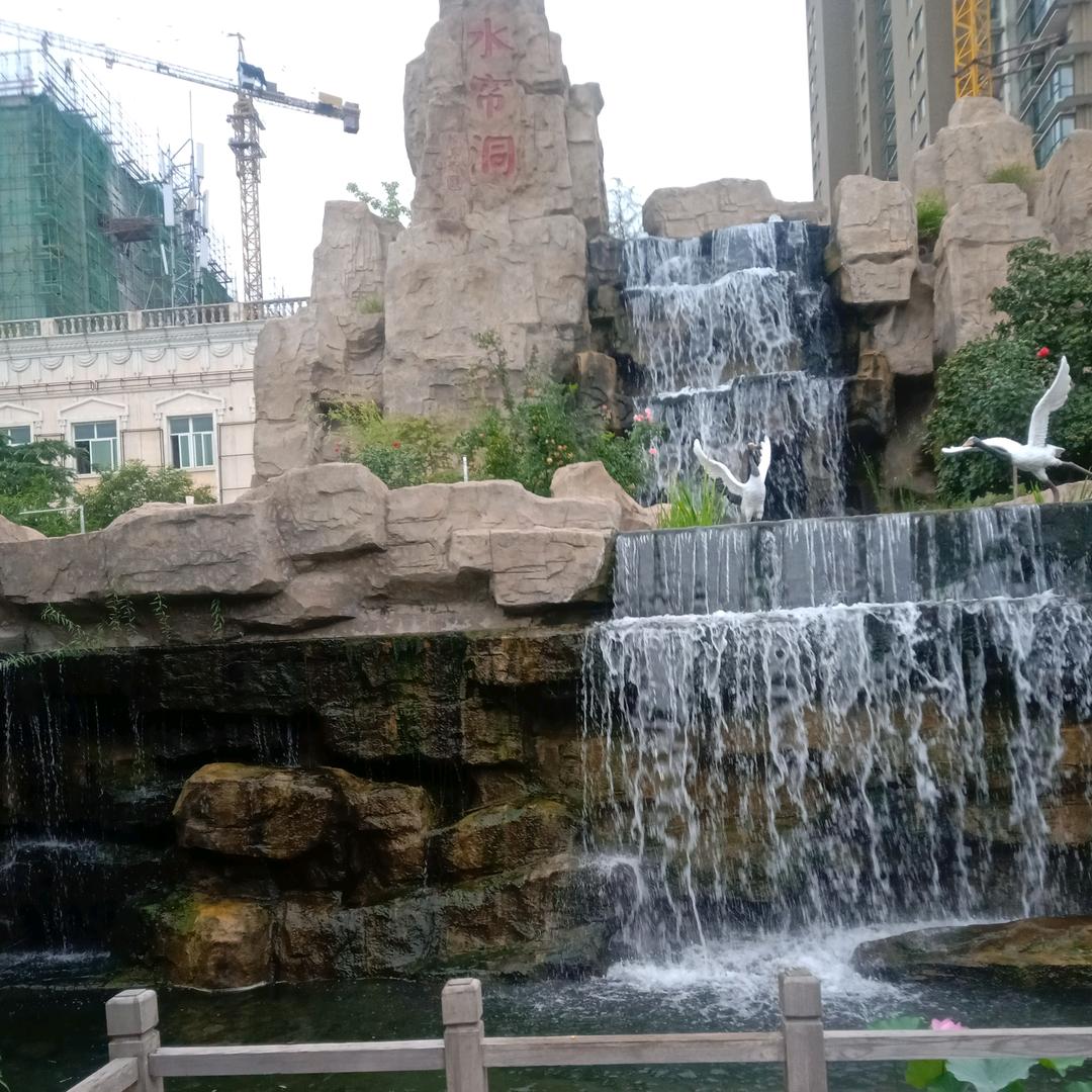 王小利