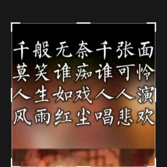 😎看世界